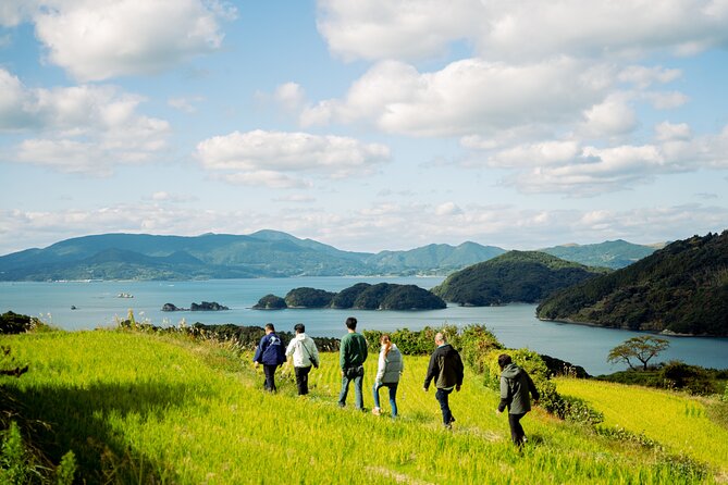 Spectacular Terraced Rice Field Walking Experience - Good To Know