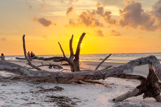 St. Pete Dolphin Watching and Island Sunset Cruise - Good To Know