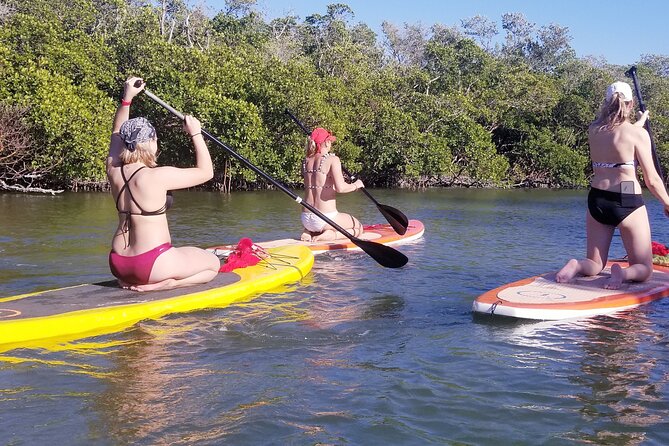Stand Up Paddleboard Rental on Big Hickory Pass - Good To Know