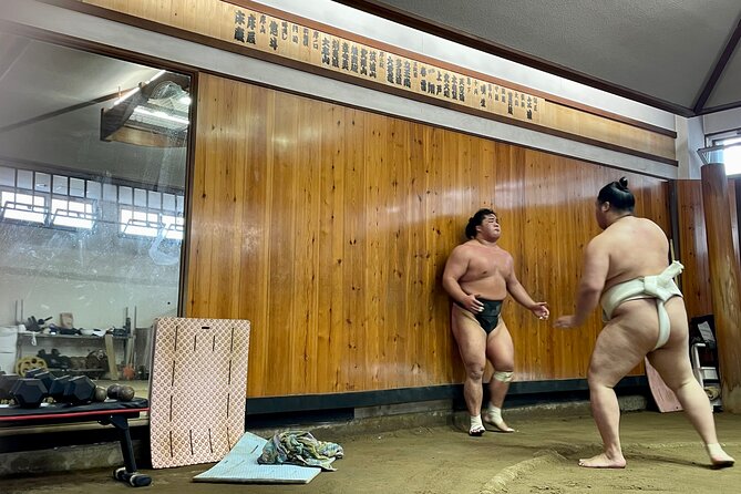 Sumo Practice Viewing Guided Tour and Photo With Sumo Wrestlers - Good To Know