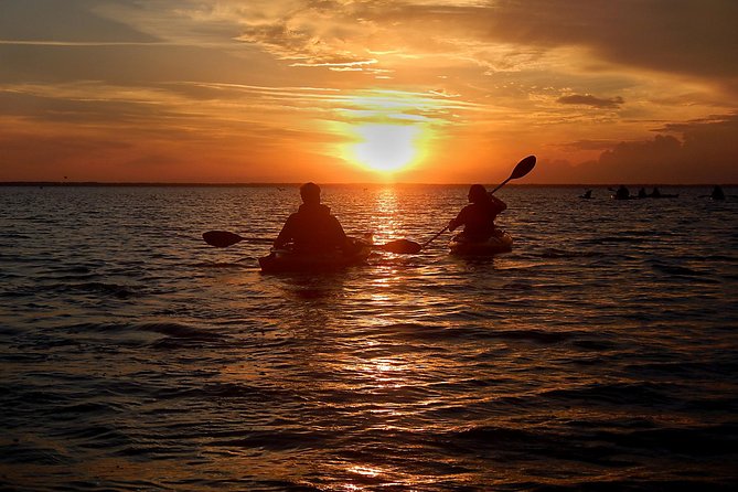 Sunset Bioluminescence Tour - Good To Know