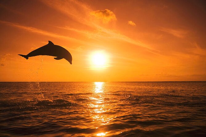 Sunset Boat Tour Around Anna Maria Island - Good To Know