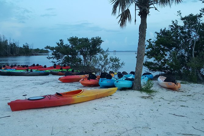 Sunset Kayaking W/ Florida Bioluminescence Combo Tour | Haulover Canal - About the Sunset Kayaking Tour