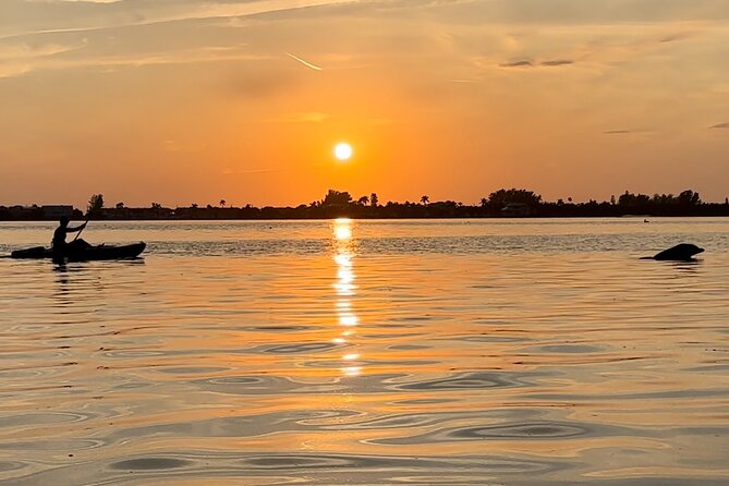 Sunset Kayaking With Dolphins - Good To Know