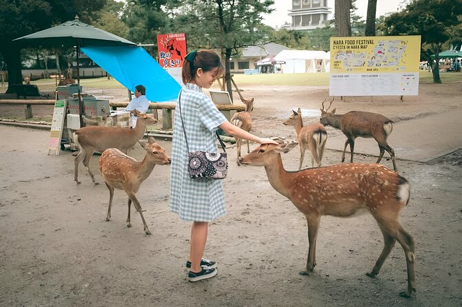 Taste of Nara A Guided Half Day Food Tour Tailored to Your Taste - Good To Know