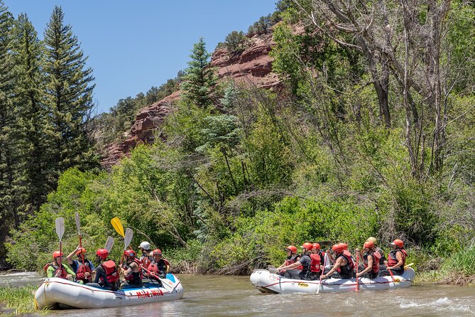 Telluride Afternoon Half-Day Rafting Tour on the San Miguel River - Good To Know