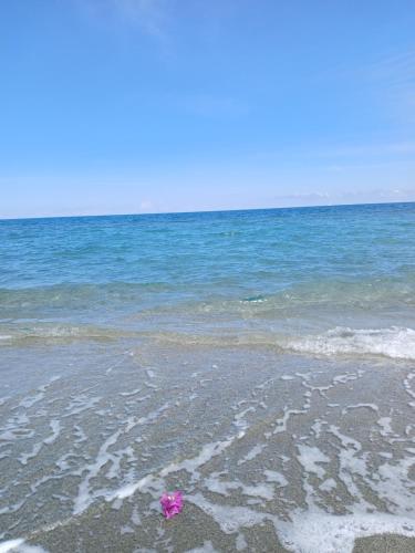 Terres De France - the Heights of the Maquis - Good To Know