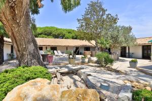 The Rice Fields - Good To Know