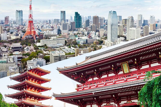 Tokyo 2-Day Private Walking Tour With Licensed Guide - Good To Know
