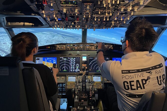 Tokyo 6hr Private Guided Tour & Flight Simulator Experience - Good To Know