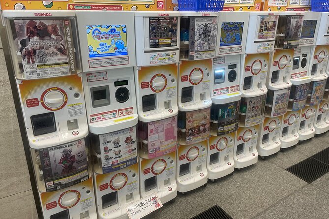 Tokyo Anime and Game Shopping Tour in Ikebukuro - Good To Know