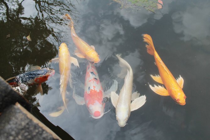 Tokyo: Imperial Palace - A Journey Through History (PT Guide) - Good To Know