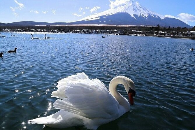 Tokyo Mt. Fuji Hakone Shrine, Owakudani, Lake Yamanakai Day Tour - Good To Know