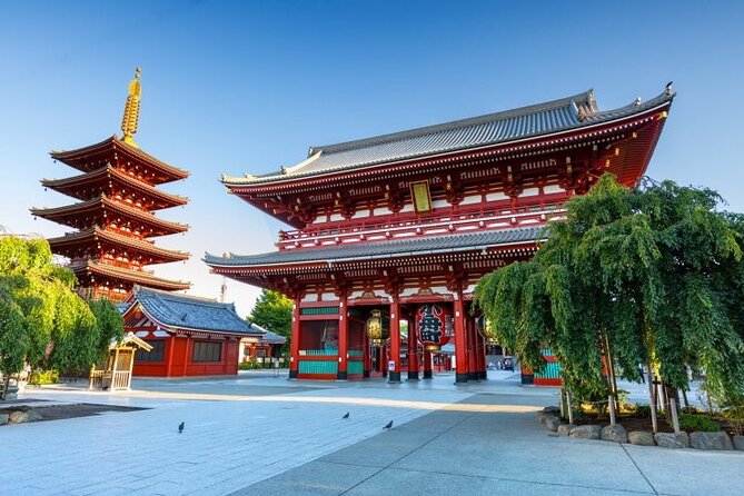 Tokyo Private Tour With English Speaking Driver - Good To Know