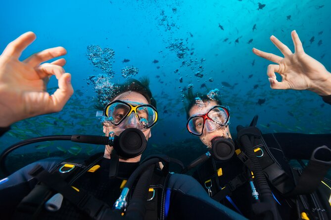 Try Scuba Diving in Kauai From a Boat for Non-Certified Divers - Good To Know