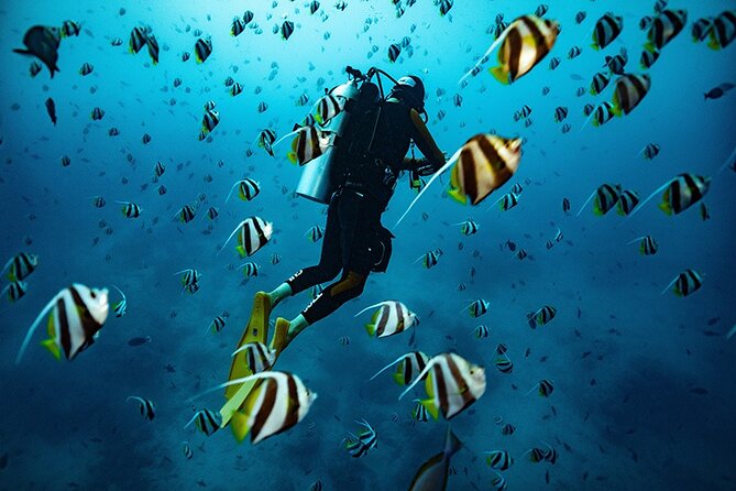 Try Scuba Diving in Kauai: No Experience Needed - Good To Know