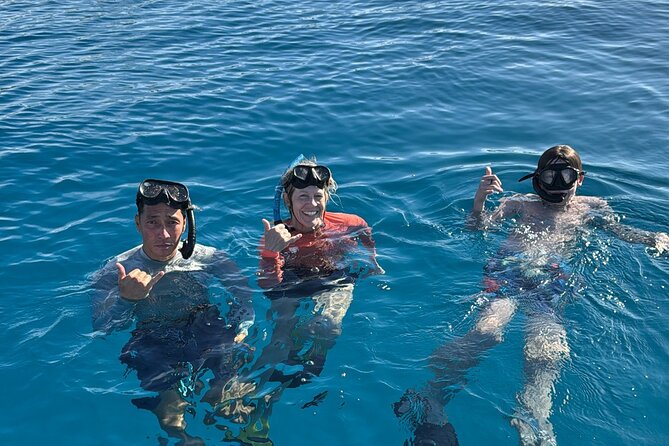 Turtle Canyon Snorkel Tour - Good To Know