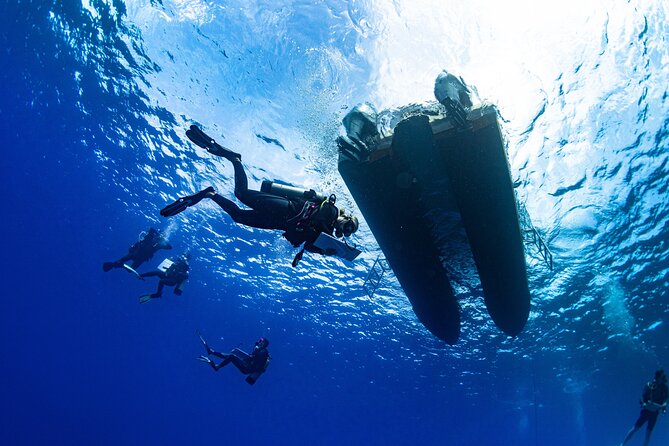 Two Tank Morning Reef Dive and Snorkel - Good To Know