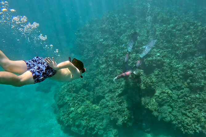 Unlimited Guided Snorkeling Tour for Beginners Plus - Good To Know
