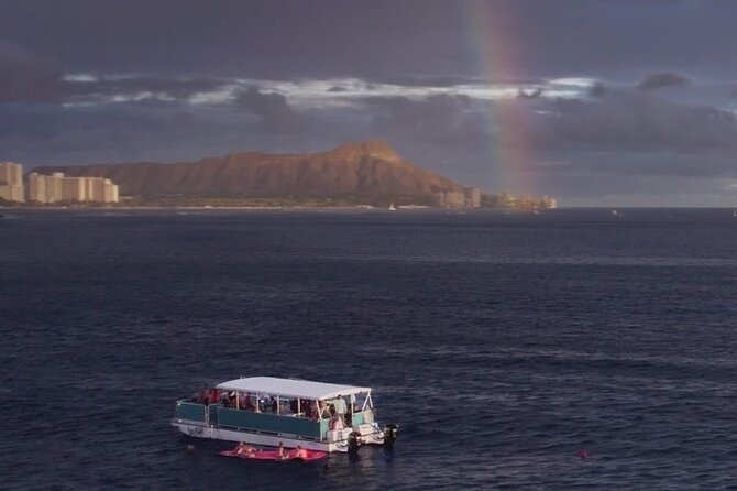 Waikiki Whale Watching Cruise - Good To Know