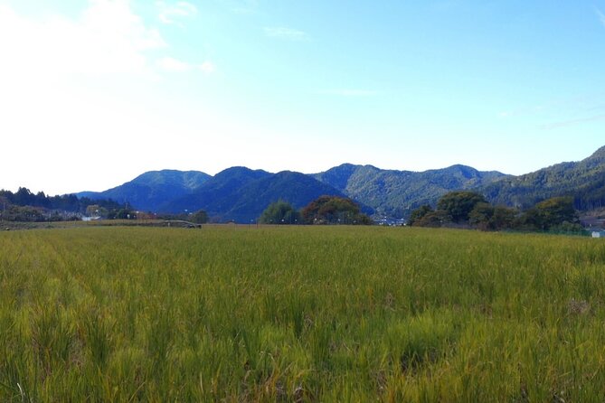 Walking Tour in Ohara Discover the Tranquil Beauty of Kyoto - Good To Know