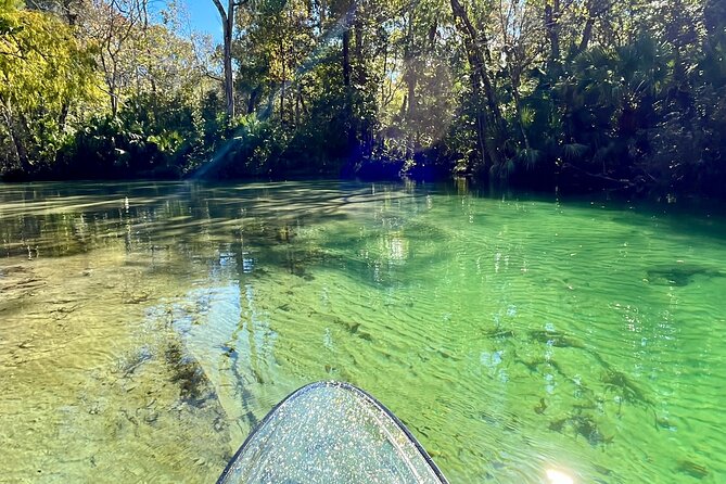 Weeki Wachee Clear Paddle Board Ecotours - Good To Know