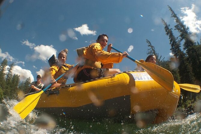 Whitewater Rafting Adventure in Jackson Hole - Small Boats - Good To Know