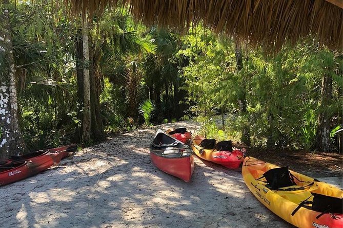 Wild & Scenic Loxahatchee River Guided Tour - Good To Know