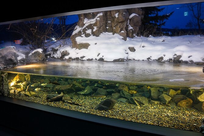 Winter BBQ With the Northern Land Aquarium & Fox Farm in Kitami - Good To Know