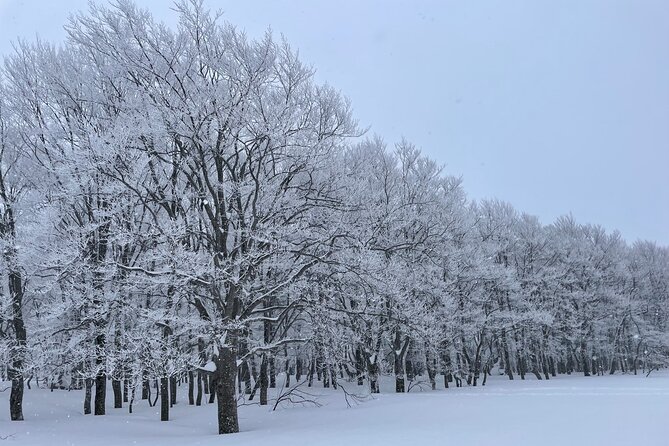 Winter Bites : Taste a Local Flavor in Snow Trek - Good To Know