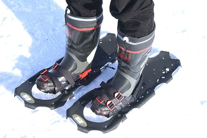 Winter Coastal Scenic Snowshoeing Experience. - Good To Know