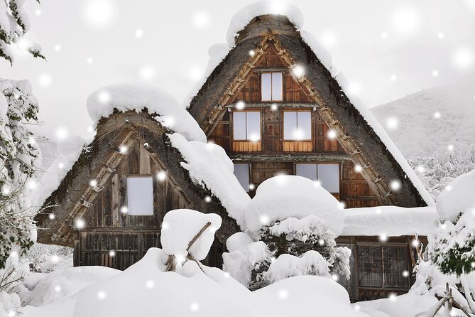 World Heritage Shirakawago and Gokayama Tour by Nohi Bus - Good To Know