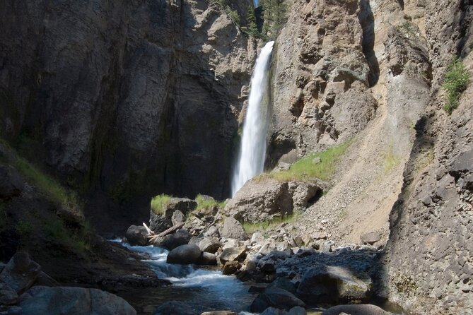 Yellowstone in a Day - Wildlife, Canyons, & Hot Springs - Good To Know