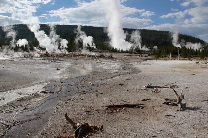 Yellowstone Lower Loop VIP Full-Day Private Tour With Lunch - Good To Know