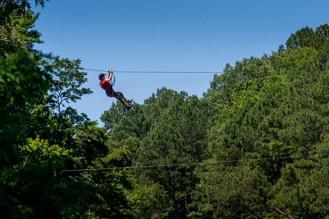Ziplining and Climbing at The Adventure Park at Virginia Aquarium - Good To Know
