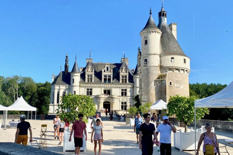 3 Loire Castles Live Guided Small Group by Minivan Winery