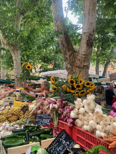 Aix-En-Provence: Gourmet and Cultural Walking Tour - Overview of the Tour Experience
