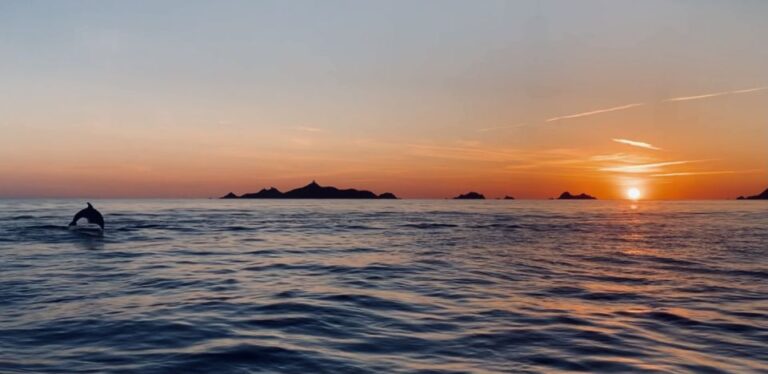 Ajaccio/Porticcio: Sanguinaires Islands Sunset Tour & Aperitif