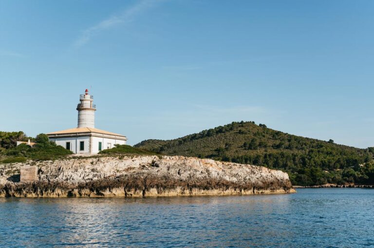 Alcudia or Can Picafort: Dolphin-Watching Tour, Small Group