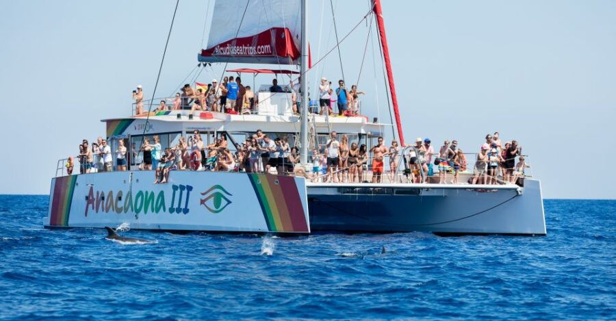 Alcudia: Sunset Catamaran Tour With Dinner and Snorkeling - Tour Overview