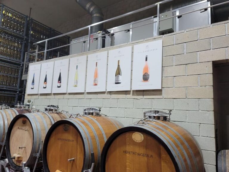 Alicante:Beatiful Castle of Mola+Tasting of Local Wine