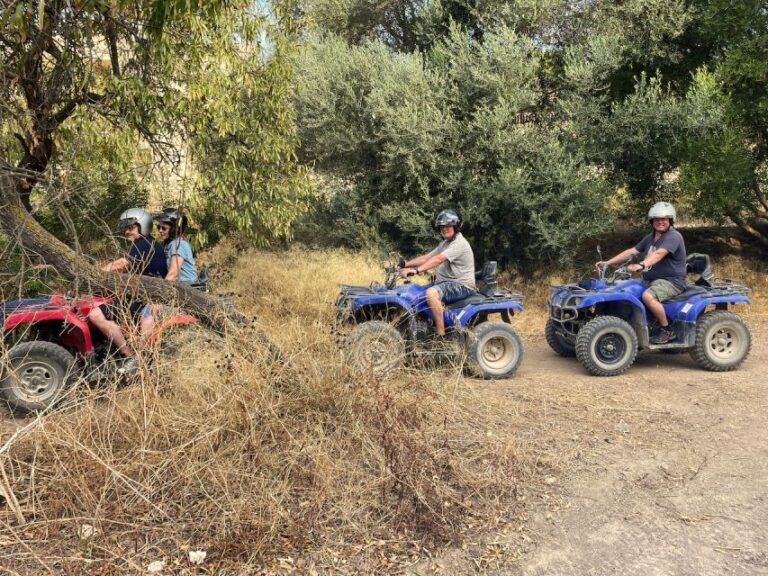 Andratx: Guided Quad Sightseeing Tour