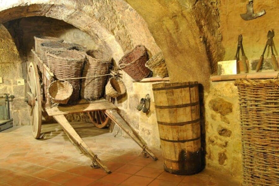 Aranda De Duero: Tour of Underground Cellar and Wine Museum - Overview of the Tour Experience
