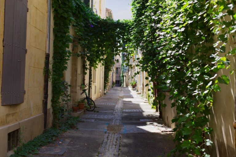 Arles: Private Guide Tour – Explore History & Culture