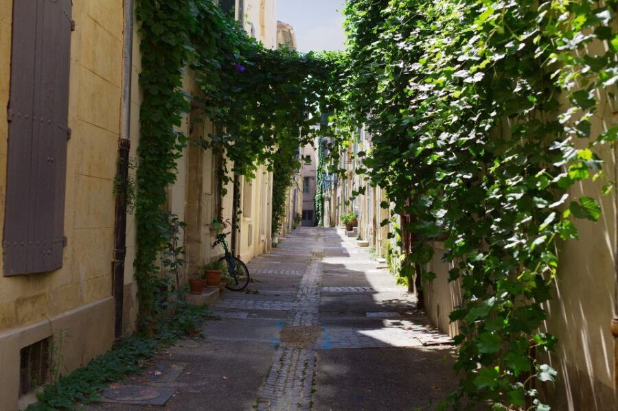 Arles: Private Guide Tour - Explore History & Culture - Discover the Rich History of Arles