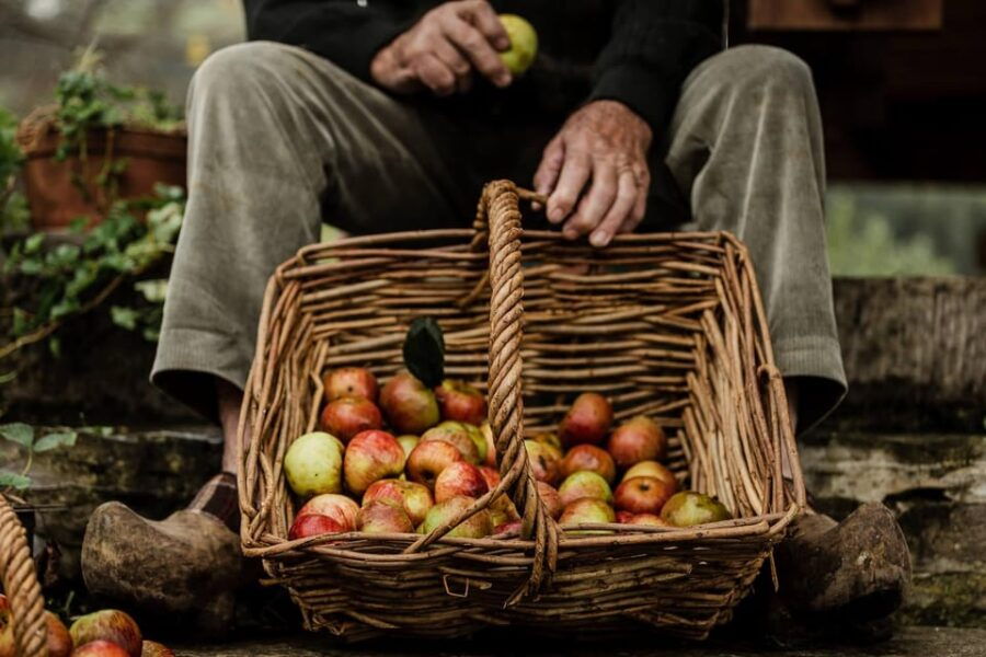 Asturias: Cider, Local Lunch, Villaviciosa, Tazones, Laboral - Tour Overview