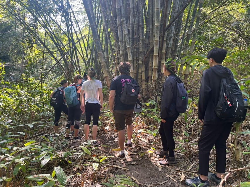 Authentic Trek Only Walk in Chiang Rai Jungle - Overview of the Authentic Trek