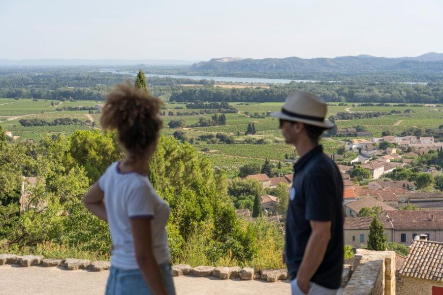 Avignon : Full-Day Châteauneuf Du Pape Wines & Luberon Tour - Tour Overview and Pricing