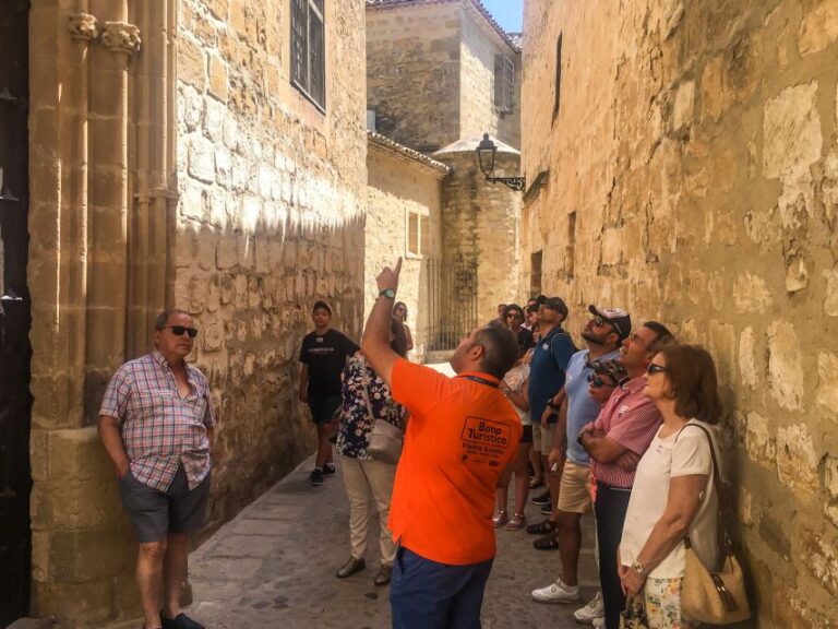 Baeza: Guided City Tour History