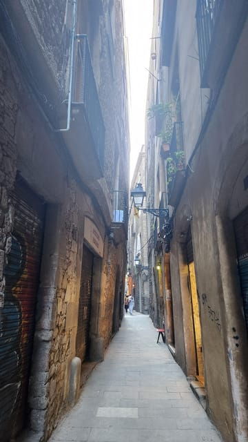 Barcelona: Gothic Quarter Walking Tour in Dutch - Overview of the Tour